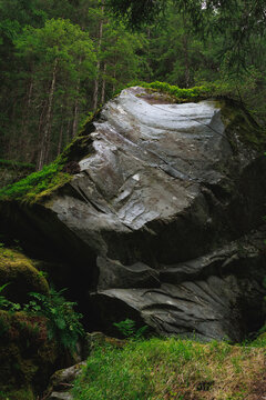 Boulders, moss and fern in the Magic Wood climbing area, Ausserferrera, Switzerland