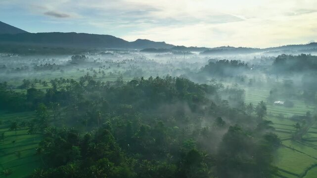 Mount Agung Volcano over Misty Bali Rice Fields Aerial View