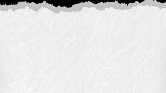 White ripped torn paper wipe transition animation with texture and alpha channel isolated on transparent background