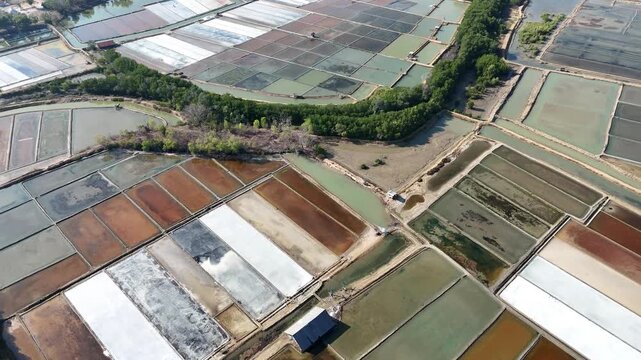 Aerial View of Colorful Geometric Salt Evaporation Ponds and Aquaculture Farms Separated by a Tree Line