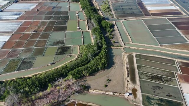 Aerial Top-Down View of Geometric Salt Evaporation Ponds and Aquaculture Farms Separated by a Mangrove River