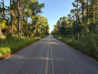 Fototapeta premium Country Road Through Bon Secour National Wildlife Refuge Near Gulf Shores, Alabama