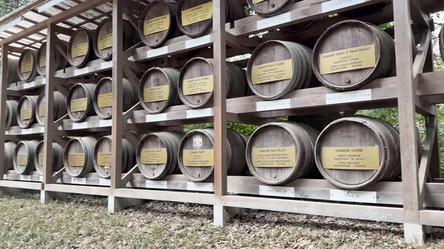 Rows of wine barrels stored in wooden racks outdoors in a natural setting.