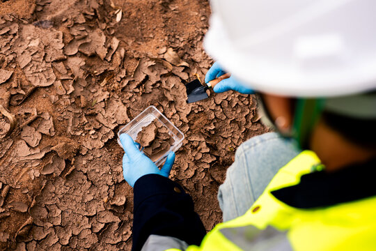 Field scientist collecting cracked soil from a riverbank to test for toxic pollutants and heavy metal contamination.