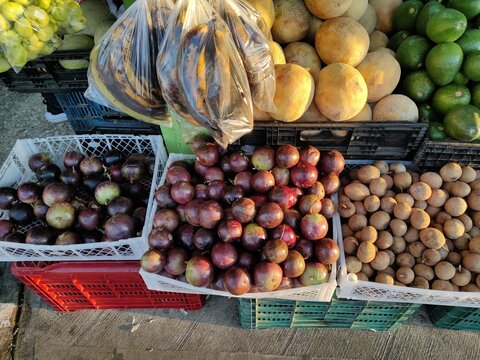 Purple star apples and mixed fruit at an Alajuela market
