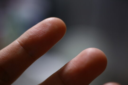 Macro close up of human finger showing detailed fingerprint pattern.