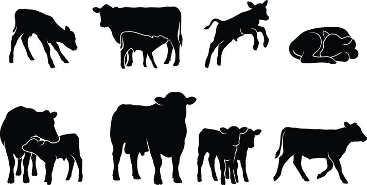 Cow and Calf Silhouette Collection Depicting Farm Animals, Livestock Behavior, and Agricultural Design Elements