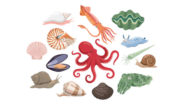 Marine mollusks vector set containing sea creatures like octopus squid cuttlefish nautilus sea slugs snails clams oysters and seashells