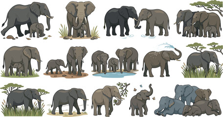 Elephant Family Vector Set with Mother Baby Herd Drinking Water Spraying and Grazing on Savanna Illustration Collection © MDEsmayil