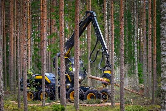 Logging Timber Harvesting  Forest Machine