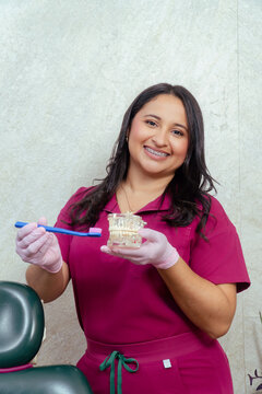 Dentist teaching oral hygiene with jaw teeth model
