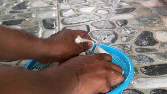 An Asian man is washing cassava (Manihot esculenta) under running water to remove residual dirt before cooking.