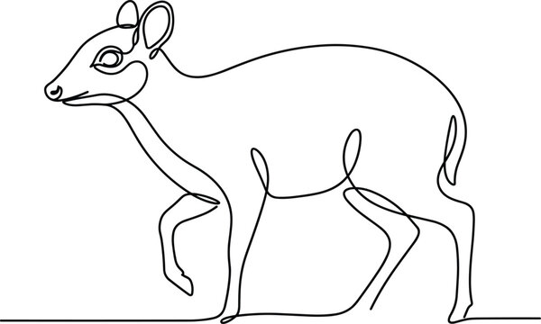 Continuous line drawing of small wild deer or chevrotain walking profile view isolated on white