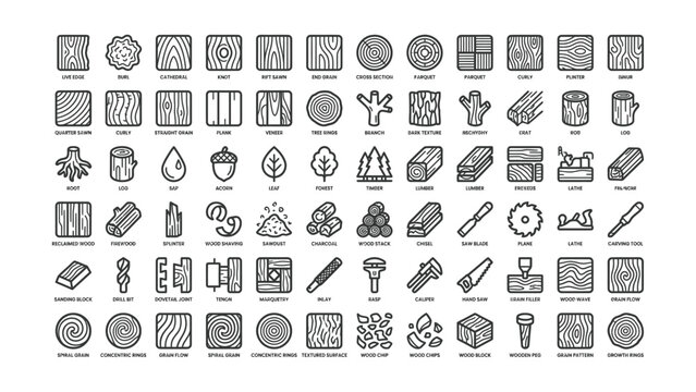 Collection Of Wood Grain Patterns And Woodworking Tools Icons With Transparent Background For Design Projects