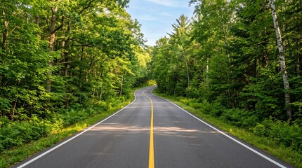 Obraz premium Winding Asphalt Road Through a Vibrant Green Forest Under a Bright Sunny Sky, Inviting Scenic Exploration