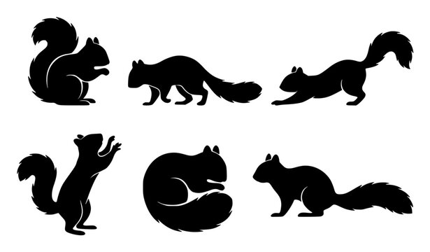 Black squirrel silhouette vector collection with six natural sitting walking stretching and resting poses