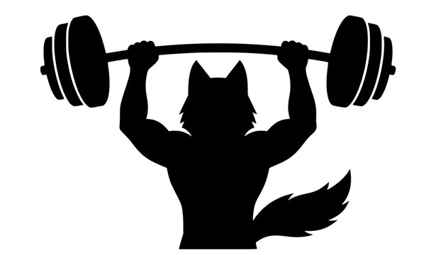 Powerful wolf lifting barbell overhead black silhouette vector illustration