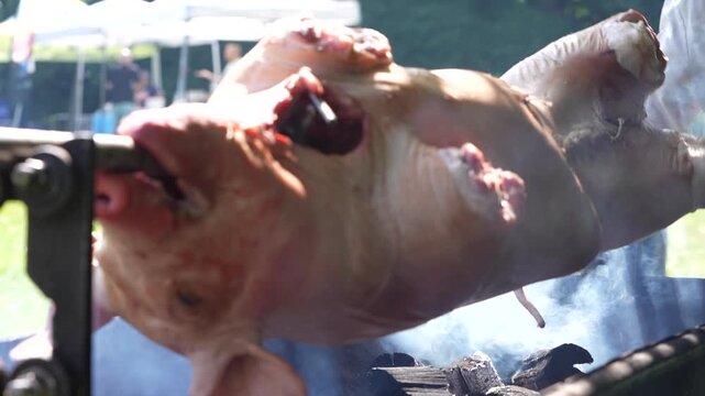Close-up shot of a chef in protective gloves expertly slicing a freshly roasted whole pig with crispy skin at an outdoor barbecue event.
