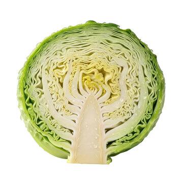 Fresh green cabbage cut in half showing the detailed texture of the inside leaves