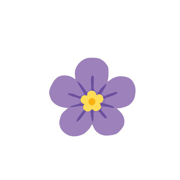 violet flower on white background