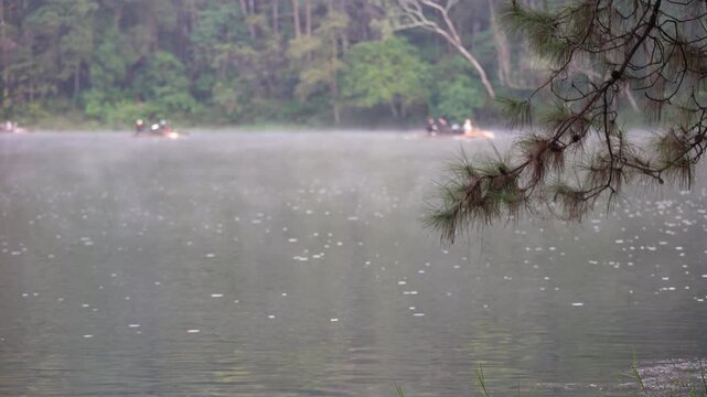 Pang Ung in Pang Tong Reservoir by focus pine needles and blur tourists people rafting in cool mist or fog floating above lake or river water in morning background at Mae Hong Son in Asia Thailand