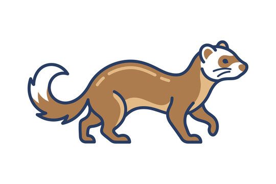 Ferret Walking Vector Illustration