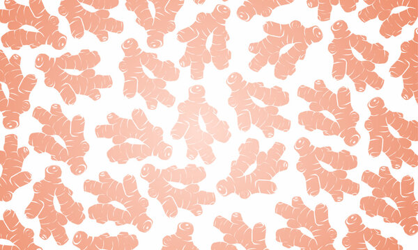 Doodle ginger hand draw pattern. Ginger root seamless pattern