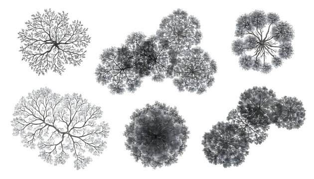 Top view architectural tree crowns and forest canopy symbols. Landscape planning and urban site design. Overhead black and white nature textures for architectural master plan