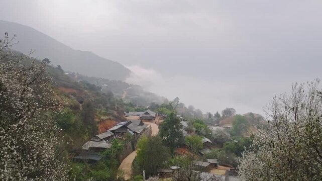 Wild Apple Blossom Trees Frame a Remote Misty Village in Nam Nghiep, Son La, Northwest Vietnam During the Spring Flowering Season