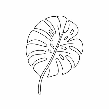 Minimal Monstera Leaf Line Art Icon, 2D Vector Sticker Outline, Isolated on White Background