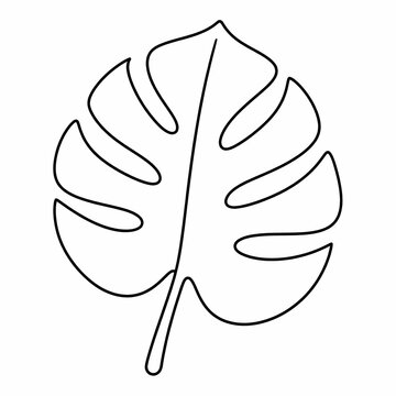 Minimal Monstera Leaf Line Art Icon 2D Vector Isolated on White Background for Coloring Book