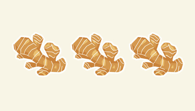Three organic ginger roots with sticker-like white outlines arranged in a horizontal row on a warm background.