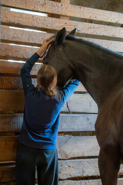 Woman caring for a horse inside a wooden stable