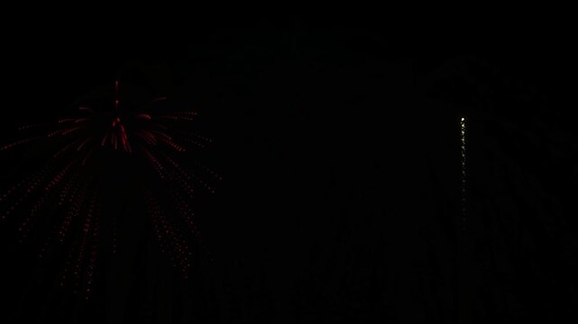 A vibrant blue firework display exploding against a dark night sky