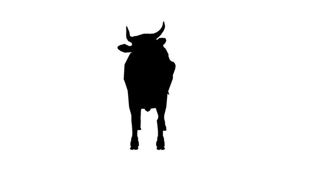 Black silhouette of a cow standing and looking away on a white background. Represents agriculture, farming, dairy, livestock, and rural life.