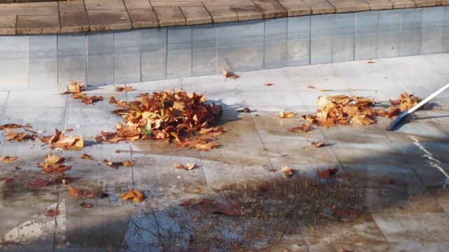 Person sweeping and collecting autumn leaves from an empty swimming pool with a long-handled rake on a sunny day