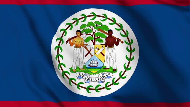 Belize national flag waving in a smooth animation loop, representing national identity and patriotism