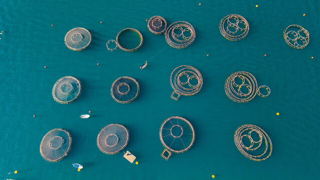 Aerial View of Marine Fish Farm in Donji Stoliv