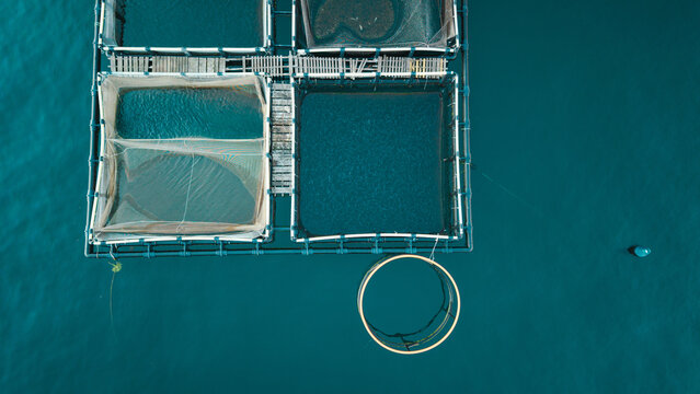 Overhead Aquaculture Cages on the Sea Near Perast Montenegro