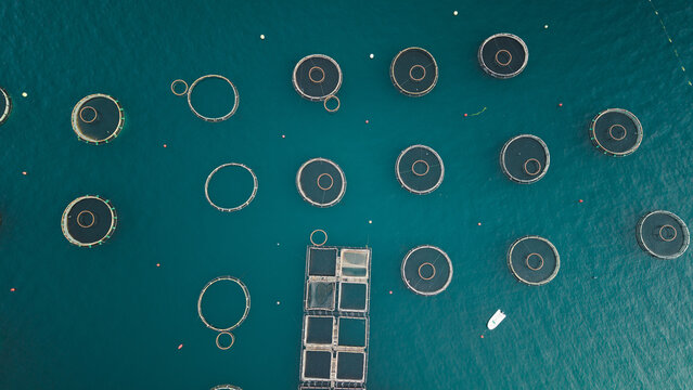 Aerial View of Oyster Farm Cages Near Perast Montenegro
