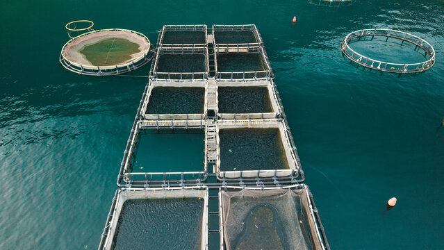 Aerial view of floating aquaculture cages in Montenegro