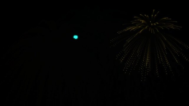Red firework display in the night sky,"A vibrant red firework explosion lighting up the dark night sky