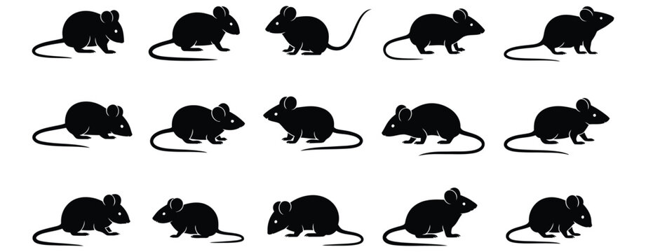 Mouse silhouette icon set featuring rat rodents in different poses including sitting walking and sniffing in solid black style for pest control laboratory research biology concept vector illustration 
