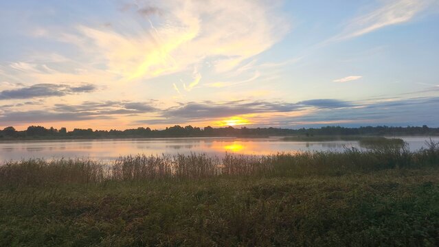 Phragmites australis, common reed, lake sunrise, lake shore, calm water, water reflection, dawn sky, morning sun, golden hour, early morning, rising sun, sun reflection, lakeside landscape, aquatic pl
