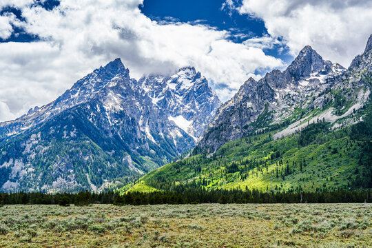 Mountain Meadow with a brighter foreground of grasses and sagebrush