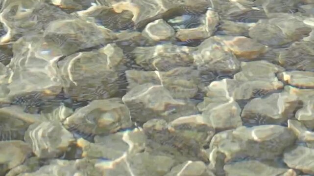 Clear flowing water reveals an underwater bed of smooth, grey, and brown pebbles, creating a serene and natural background
