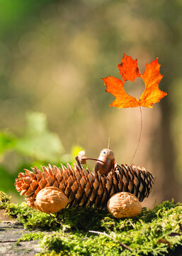 Handmade Autumn car from pine cone in the Sunlit Forest in fall season