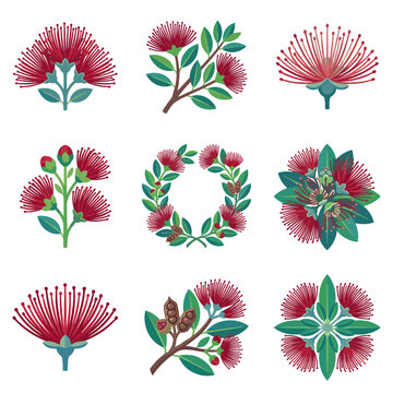 Set of Pohutukawa flower illustrations including wreaths, bouquets, and sprigs. Red floral design elements of Metrosideros excelsa with green leaves on white background.