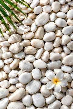 pebbles on the beach