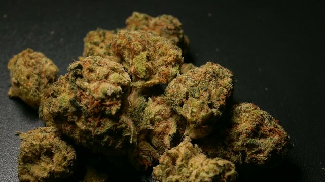 Marijuana cannabis sativa or indica, rotating against a black background.